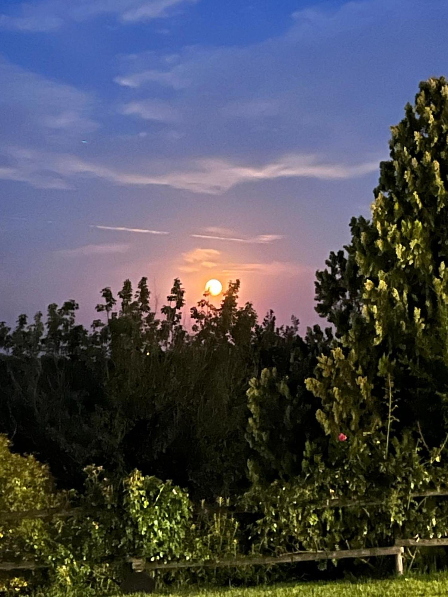 B&B Corte Delle Rose Castiglione Delle Stiviere Luaran gambar